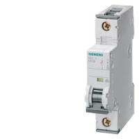 Автоматический выключатель Siemens 5SY4132-6KK11