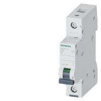 Автоматический выключатель Siemens 5SL4102-8