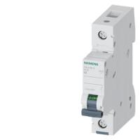 Автоматический выключатель Siemens 5SL4108-6