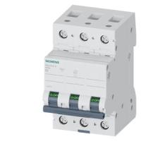 Автоматический выключатель Siemens 5SL4302-6