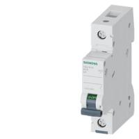 Автоматический выключатель Siemens 5SL4101-8