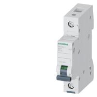 Автоматический выключатель Siemens 5SL4105-7